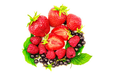 Mix of fresh and ripe berries isolated on white background.