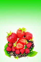 Mix of fresh berries isolated on white to green gradient background.