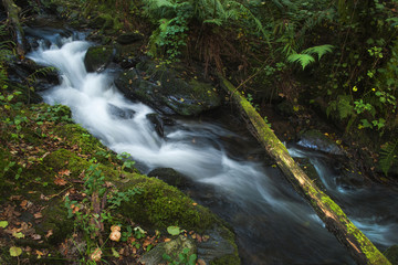 El arroyo