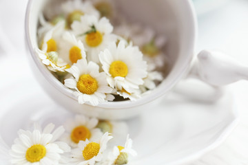 Fototapeta na wymiar Fresh chamomiles in cup, closeup