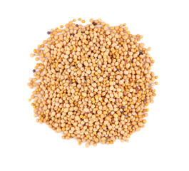 Mustard seeds isolated on white