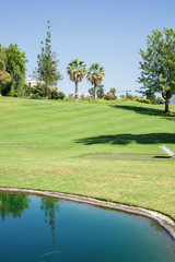 Fototapeta na wymiar Lake and palmtrees in golf course