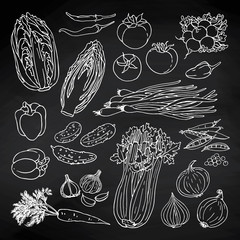 Doodle vegetables set with cabbage, carrot, cucumber, radish, tomato, graphic, onion on blackboard