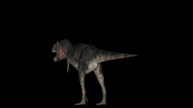 Animation of dinosaur Tarbosaurus gyrating 360 degree on black background