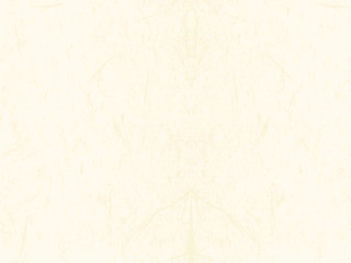 Fototapeta premium japanese paper