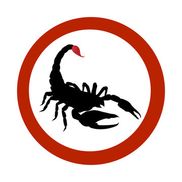 Stop sign Black Scorpion. Scorpio with red bloody sting.