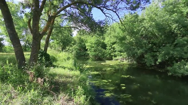 paysage bucolique au bord de l'eau