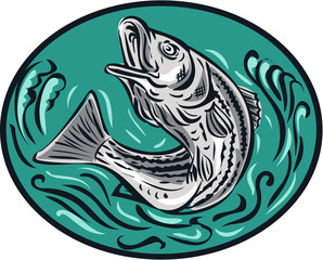 Rockfish Jumping Color Oval Drawing