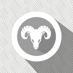 signs of the zodiac design, vector illustration eps10 graphic 