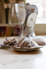 Oyster shells as decoration of the restaurant.