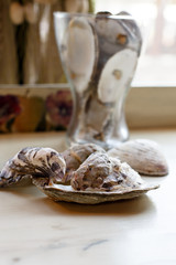 Oyster shells as decoration of the restaurant.