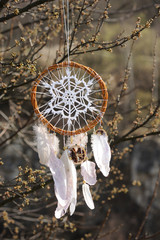 Handmade native american dream catcher on background of branch