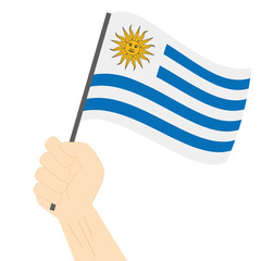 Obraz premium Hand holding and raising the national flag of Uruguay