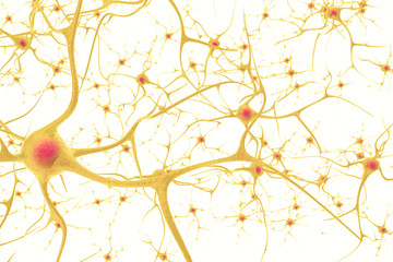 Neurons in the human nervous system with the effect of depth field. 3d illustration on a white background
