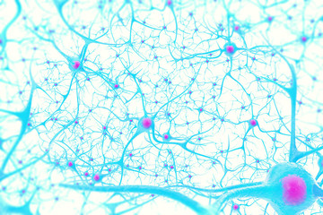 Obraz premium Neurons in the brain on white background with focus effect. 3d illustration