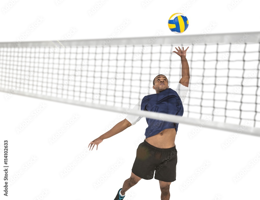 Canvas Prints Sportsman posing while playing volleyball