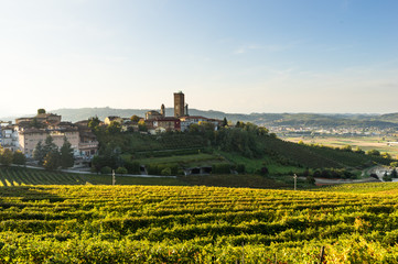 Fototapeta na wymiar beautiful vineyard in switzerland in blue sky