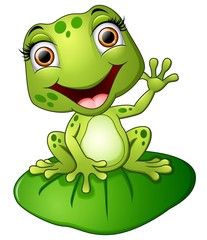 Obraz premium Cartoon frog sitting on the leaf