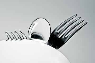 metal kitchen appliances. Silver fork and spoon on the table. Basic cutlery