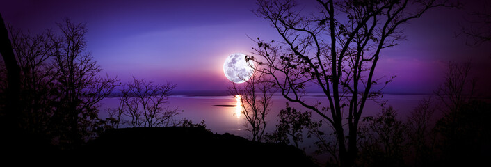 Panorama. Silhouetten van bossen en prachtige maansopgang, heldere volle maan.