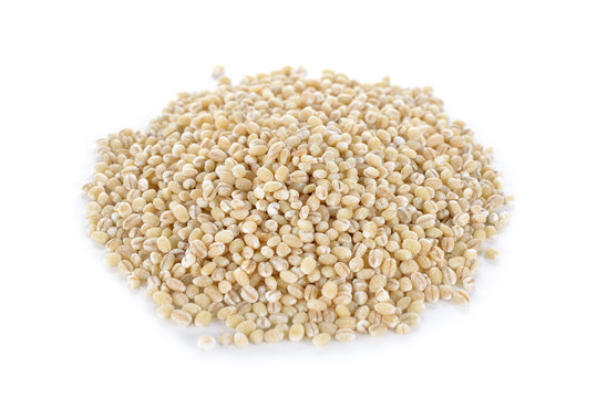 Uncooked barley grain seeds on white background