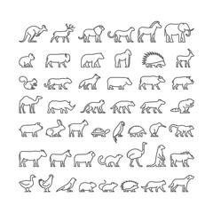 Vector line silhouettes of domestic, farm and wild animals