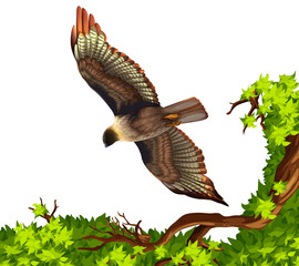 Fototapeta na wymiar Eagle flying over the tree