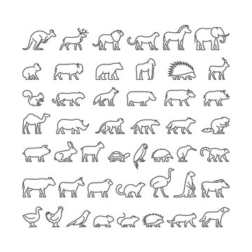 Vector line silhouettes of domestic, farm and wild animals