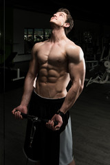 Obraz na płótnie Canvas Powerful Muscular Man Exercising Biceps On Cable Machine