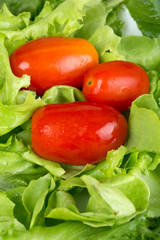 Lettuce with cherry tomatoes in white saucer on a wooden table