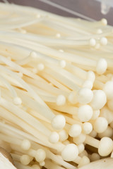 Close up on various kind of mushrooms