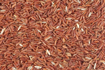 red rice background
