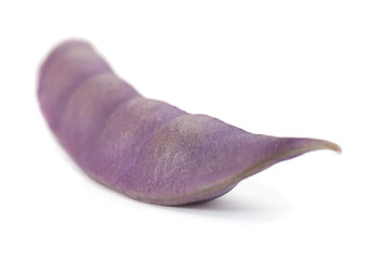 Purple long bean