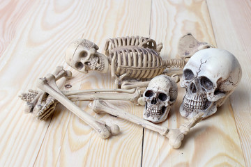 human skull and human skeleton on pine wood background
