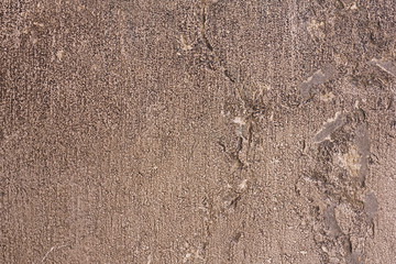 Old grunge Venice building wall texture