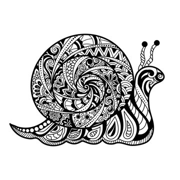 Hand drawn vector outline snail decorated with abstract ornaments in black and white color. illustration in zentangle style.
