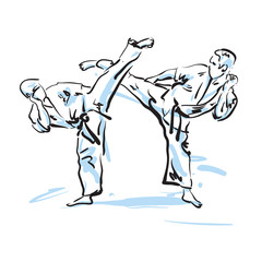 karate fighters, vector illustration © schab