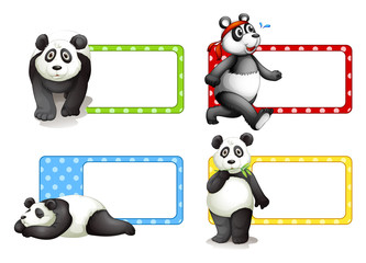 Labels design with pandas
