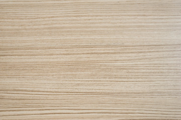 Fototapeta premium Oak wood texture