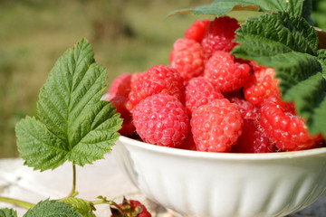 fresh raspberries