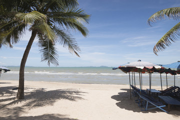 Coconut trees ,umbrellas and chairs in the beach in Thailand