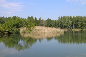 Fototapeta na wymiar River arms of Danube river in Bodíky, Slovakia