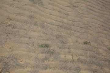 Sand Texture. Brown sand. Background from fine sand.