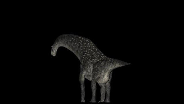 Animation of dinosaur Titanosaurus gyrating 360 degree on black background