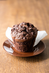 Chocolate muffin on brown