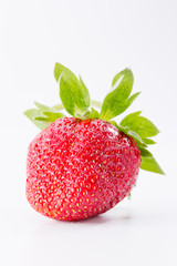 strawberries on white background