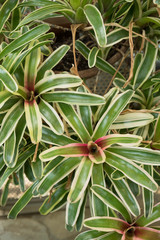 Fototapeta premium OLYMPUS DIGITAL CAMERA