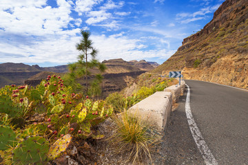 Road through the mountains of Gran Canaria island, Spain