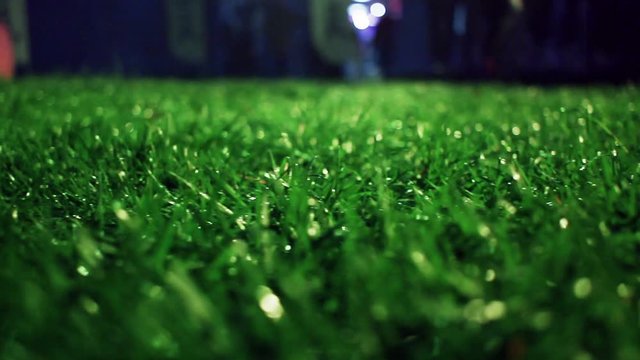 Green grass. Closeup. Lawn close up. Grass background. Green grass soccer field. Trimmed grass on meadow at night. Panning on grass field at park. Green background. Macro shot of lawn grass at night