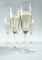 champagne glasses